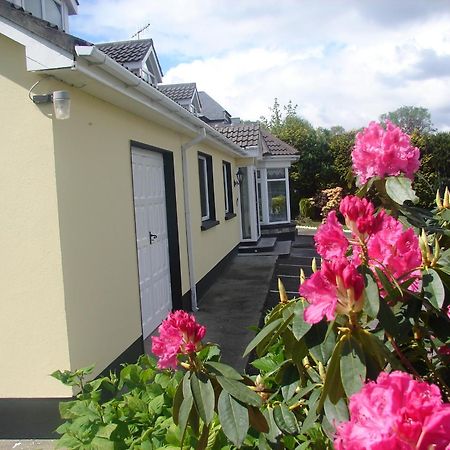 Harbour View Bed & Breakfast Kenmare Exterior photo